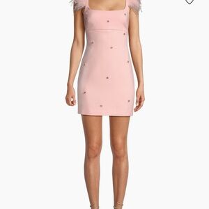 Likely Pink Mini Dress with Feather Accents